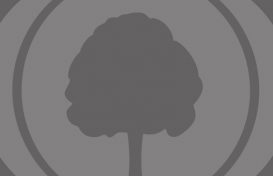 Die Gansauers: 1 Baum – 2 Stämme – 4 Namen