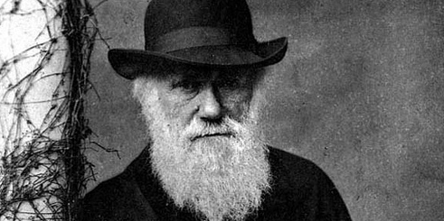 Darwin-Notizen online einsehbar - MyHeritage Blog