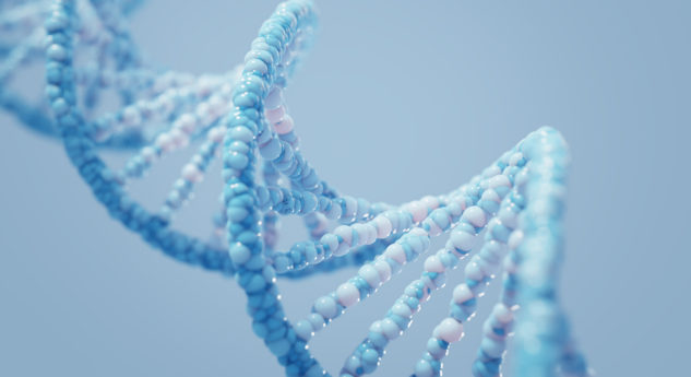 MyHeritage DNA – Wie unsere Gene uns dabei helfen Familie zu finden