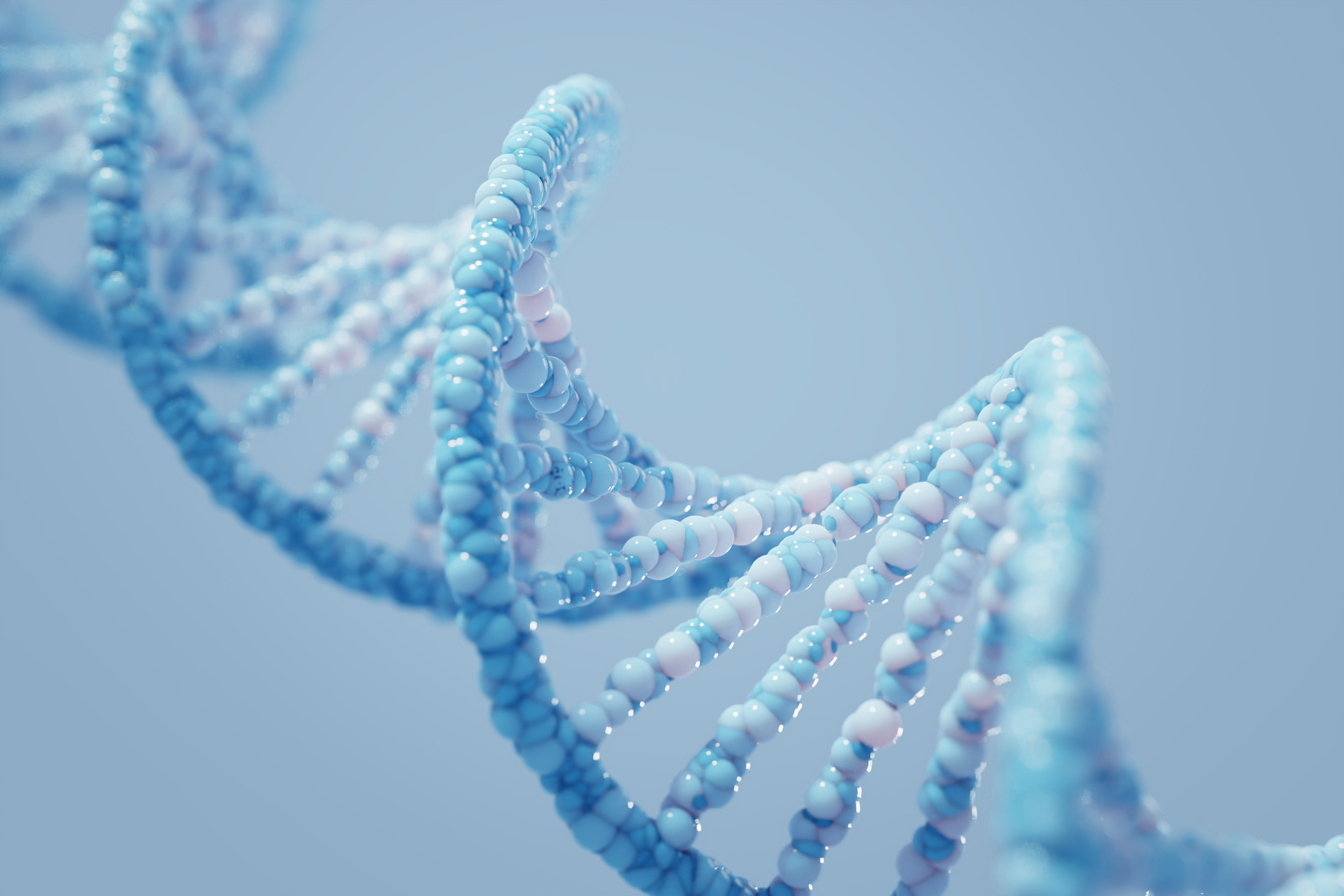 MyHeritage DNA – Wie unsere Gene uns dabei helfen Familie zu finden