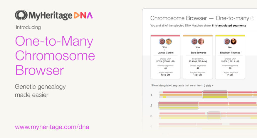 Zur besseren Bearbeitung der DNA-Matches: Umfangreiches Upgrade des Chromosomenbrowsers von MyHeritage