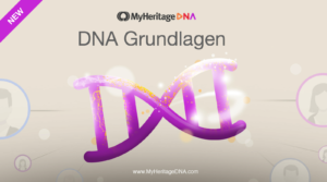 DNA Grundlagen – Teil 2: Die Struktur der DNA