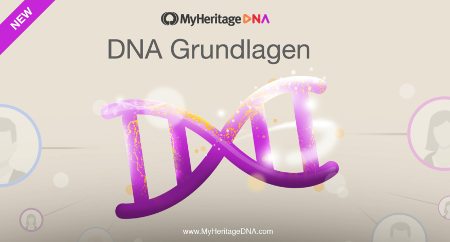 DNA Grundlagen – Teil 2: Die Struktur der DNA