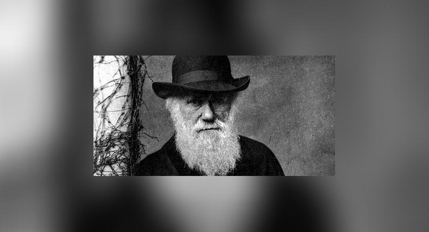 Darwin-Notizen online einsehbar