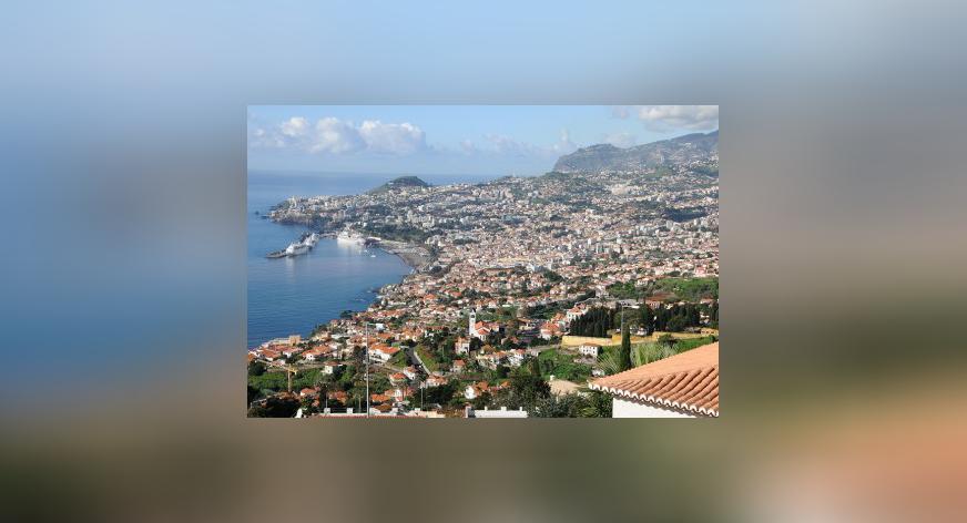 Von Madeira zu MyHeritage: unsere freiwilligen Helfer