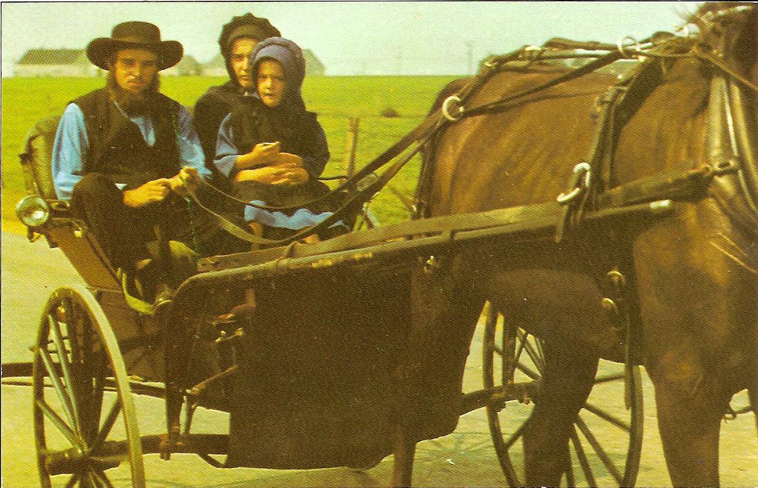 Amische Familie fährt mit ihrer Kutsche in Sonntagskleidern zum Gottesdienst.  Postkarte von Photo Arts Co. Box 1274, Lancaster, Pa., USA.